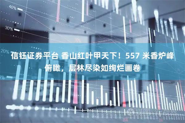 信钰证券平台 香山红叶甲天下！557 米香炉峰俯瞰，层林尽染如绚烂画卷