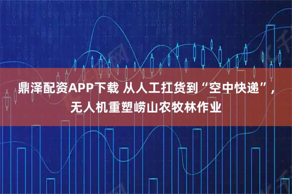 鼎泽配资APP下载 从人工扛货到“空中快递”，无人机重塑崂山农牧林作业