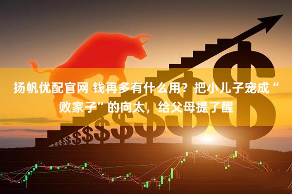 扬帆优配官网 钱再多有什么用？把小儿子宠成“败家子”的向太，给父母提了醒