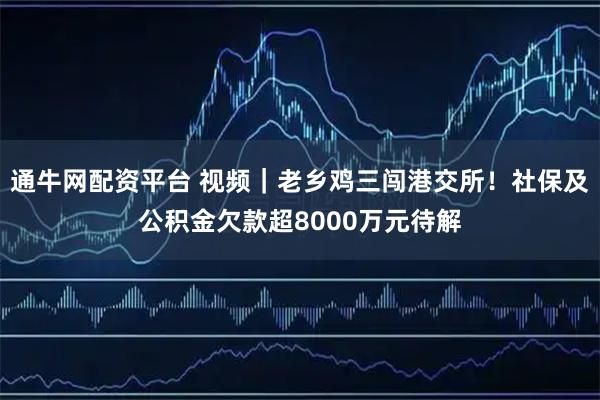 通牛网配资平台 视频｜老乡鸡三闯港交所！社保及公积金欠款超8000万元待解